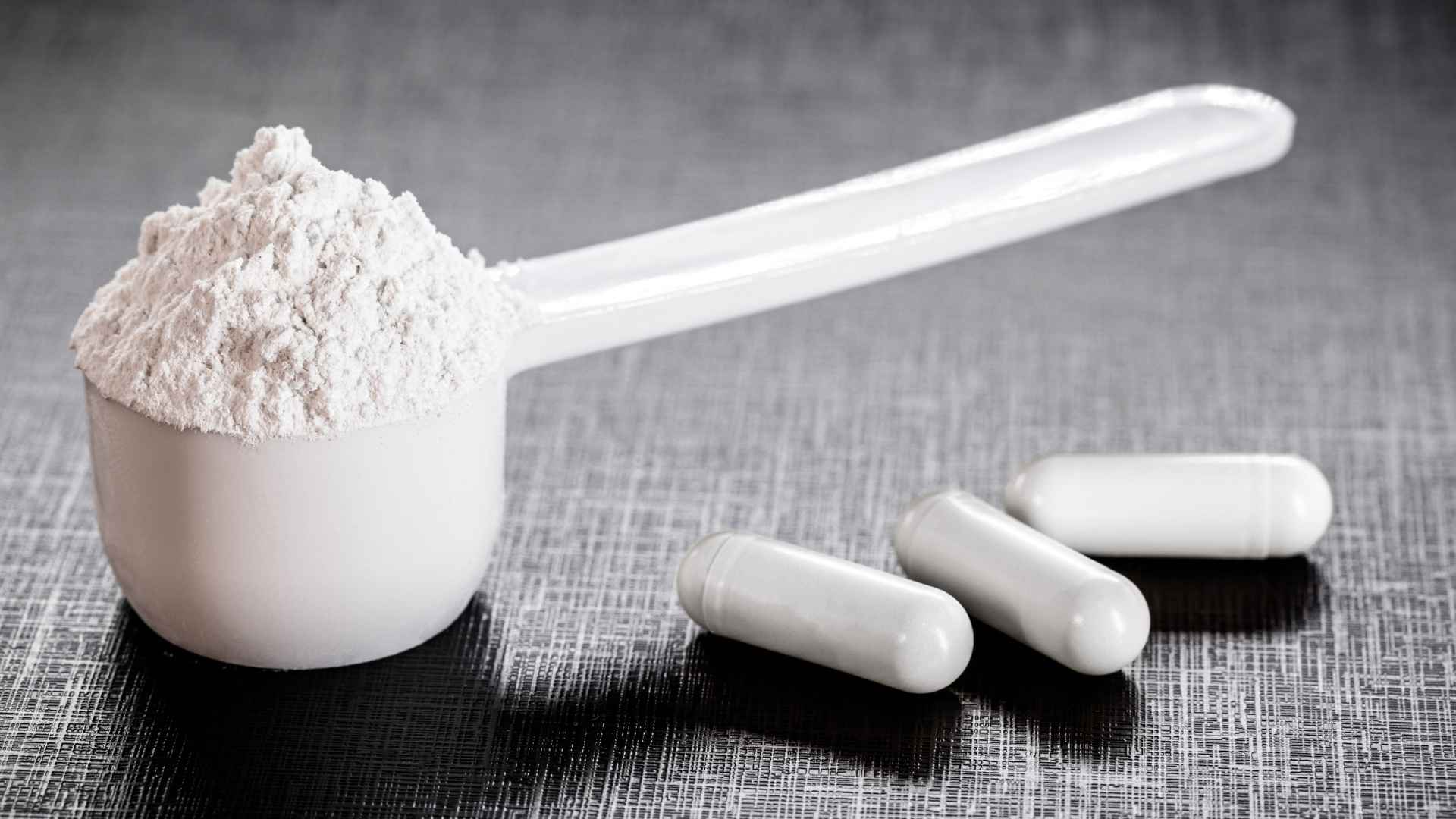 Creatine monohydraat supplement in poedervorm